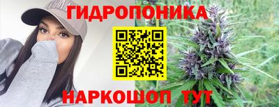 синтетический гашиш Заводоуковск