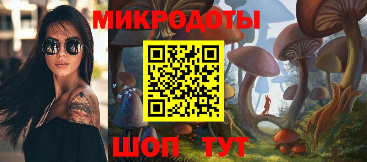 Псилоцибиновые грибы мухоморы  Псилоцибиновые грибы Psilocybine cubensis  купить закладку  Вход с VPN  Канск 
