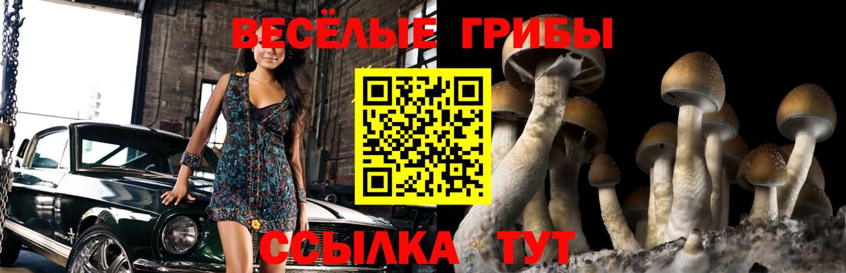 Псилоцибиновые грибы ЛСД Канск